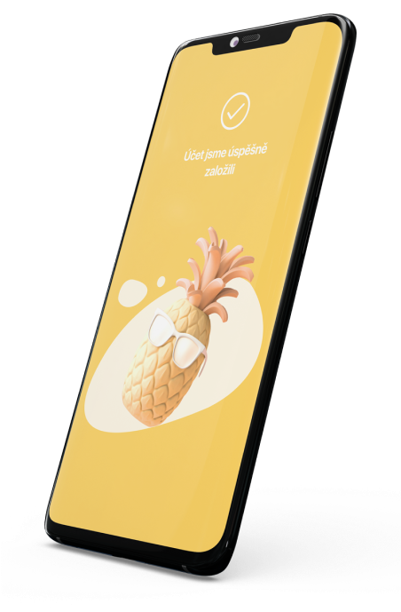 ananas 1